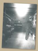 Francis LEZIN | Dans la cave boulevrad de la liberté